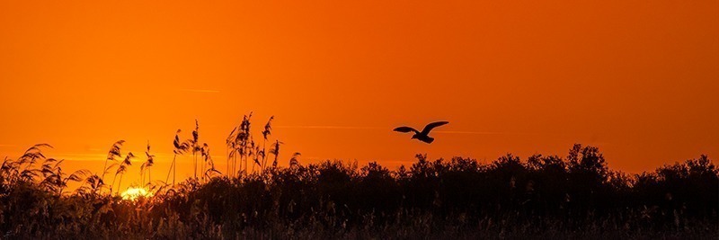 _DSC05980598-Modifier