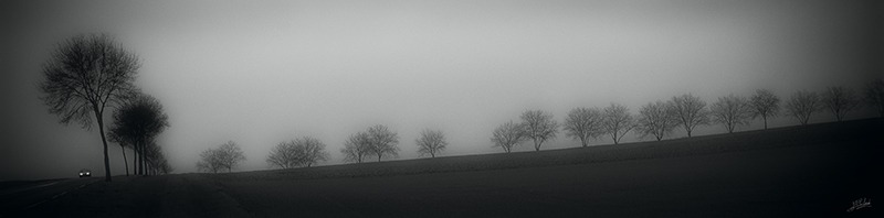 DSC_1662-Modifier_n&b