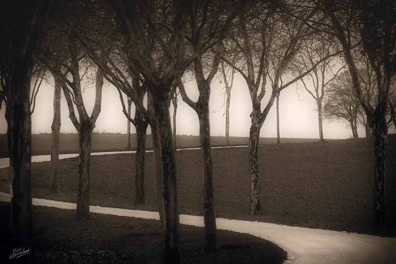 DSC_1678-Modifier-2-copie