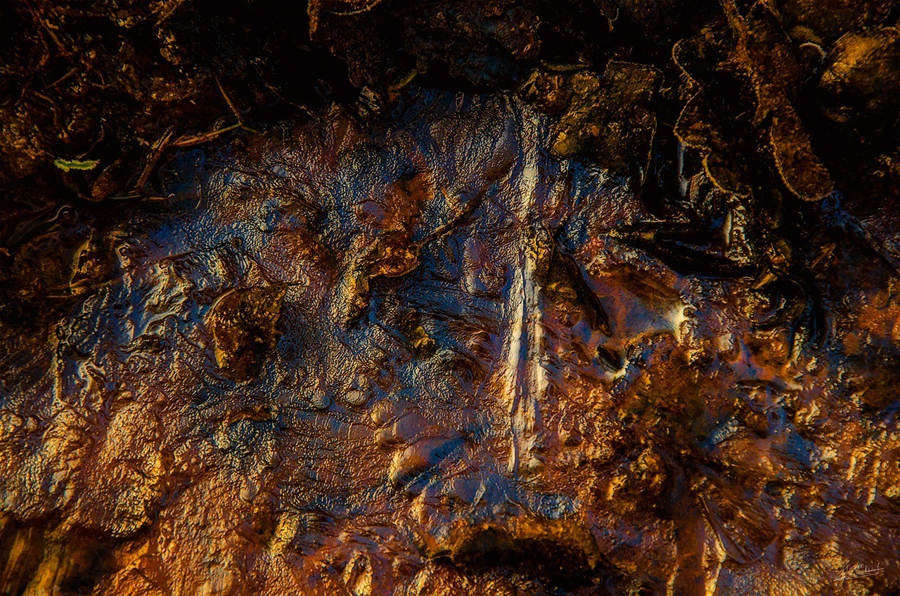 La_terre_dans_touts_ses_états_9836