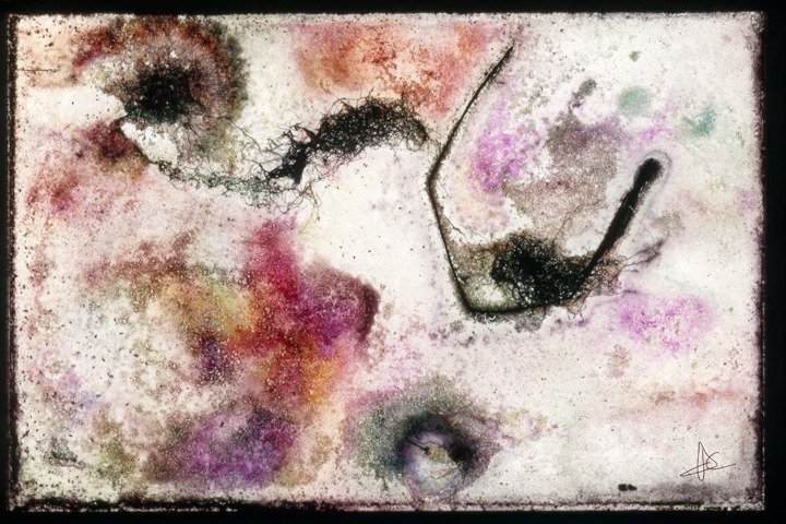 Painting_photography_045