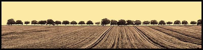 Panorama-sans-titre-1