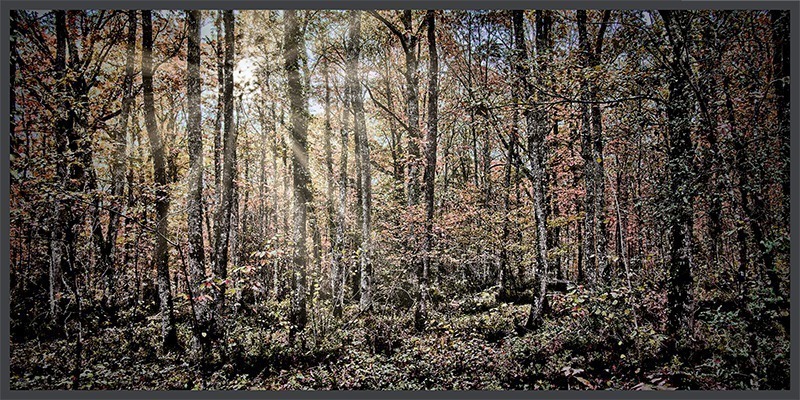 Panorama-sans-titre-1_2