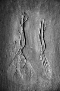 dsc_475210DSC_4752-b