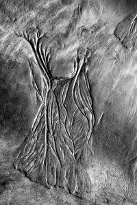 dsc_476015DSC_4760-b