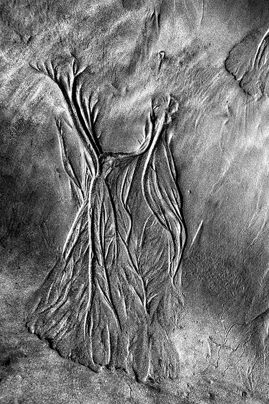 dsc_476015DSC_4760-b