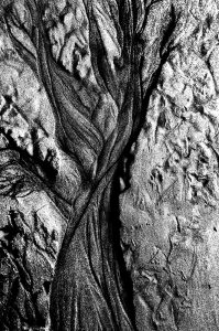 dsc_489323DSC_4893-b