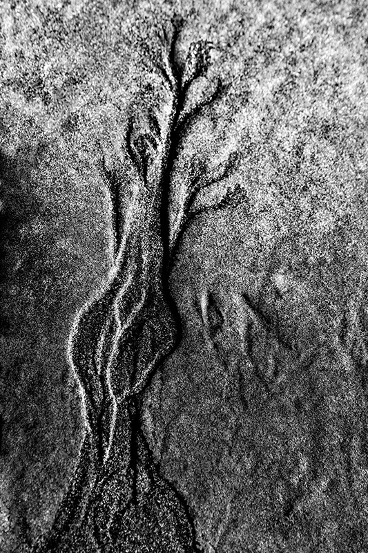 dsc_489425DSC_4894-b