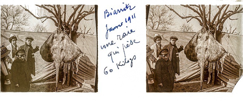 Divers-plaques-de-verre